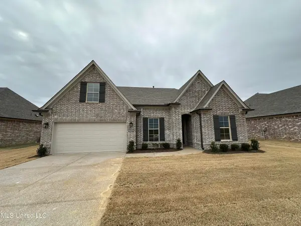 3041 School Loop Road, Lake Cormorant, MS 38641