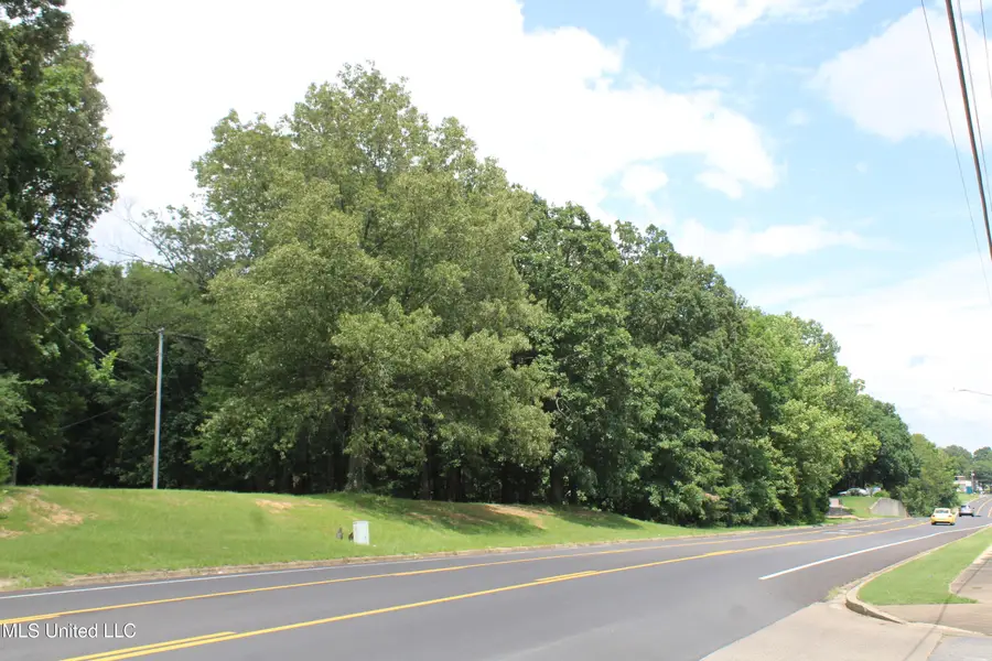 8654 Goodman Road, Olive Branch, MS 38654 - Image #3