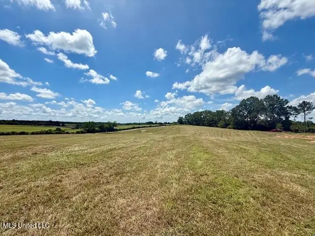 Dewitt Lane, Bogalusa, LA 70427 - Image #2