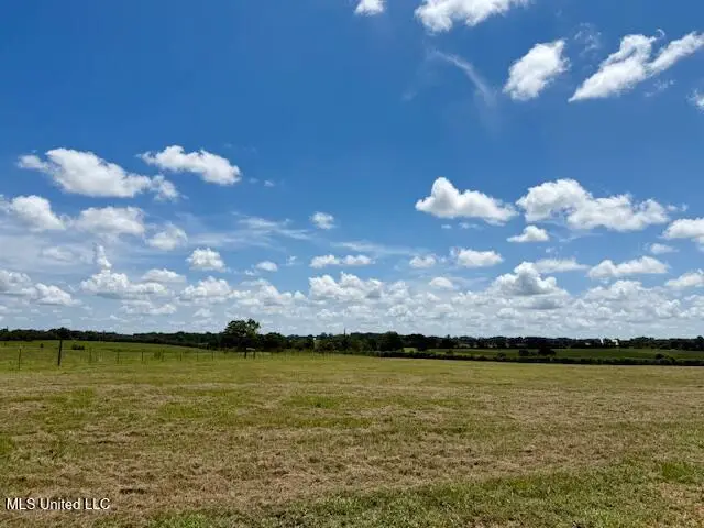 Dewitt Lane, Bogalusa, LA 70427 - Image #3