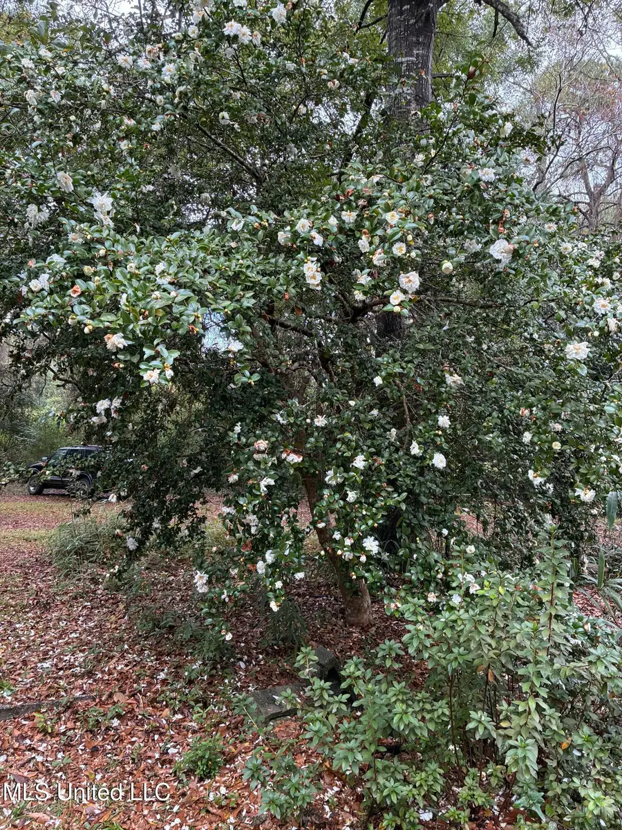 12 Zettel Road, Ocean Springs, MS 39564 - #3