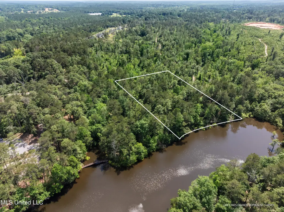 8 Acres Bridgewater Subdivision, Sumrall, MS 39482 - Image #1