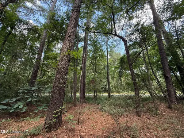 1.72 Acres Crosby Road, Seminary, MS 39479