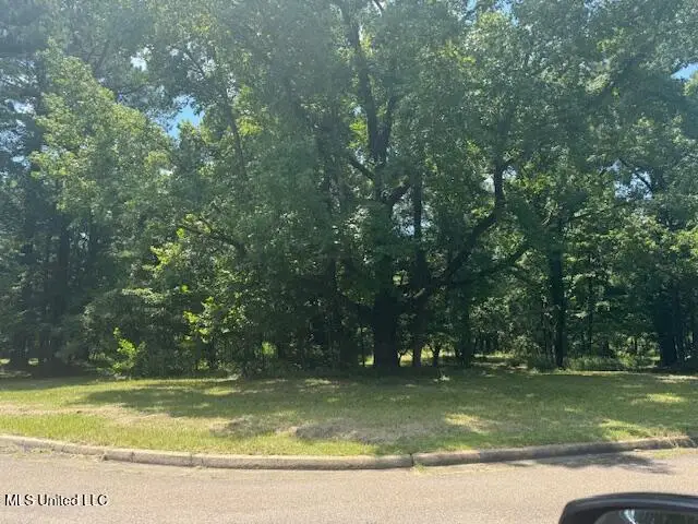 114 Bristol Court, Madison, MS 39110 - Image #2