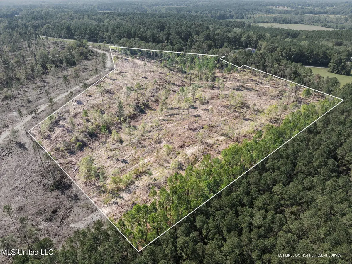 14.55 +/- Acres Shirley Sanford Road, Seminary, MS 39479 - Image #1