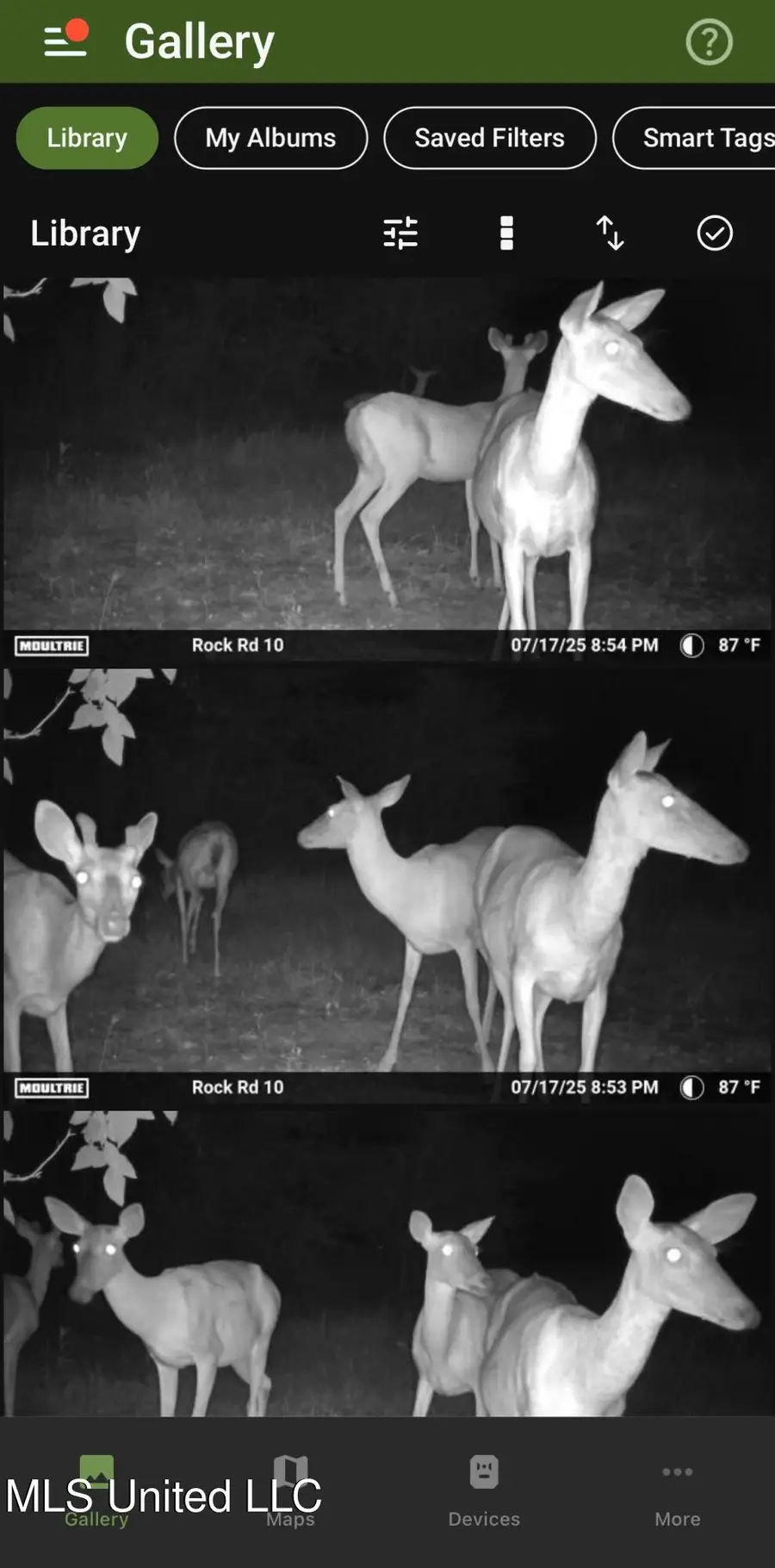 51 Rock Road, Hattiesburg, MS 39401 - Image #3