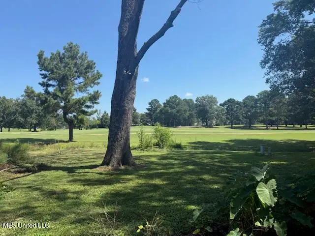 538 S Deerfield Drive, Canton, MS 39046 - Image #3