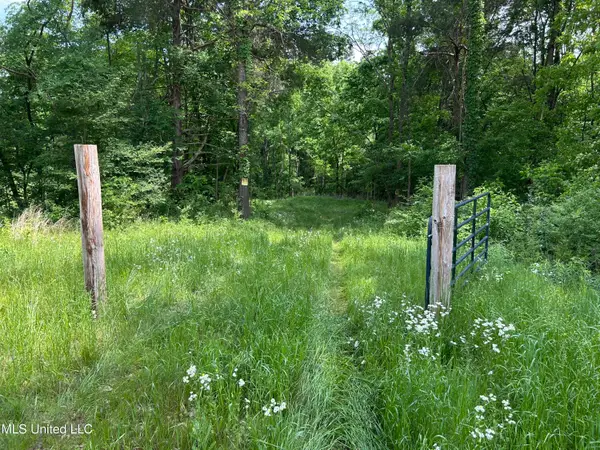 4315 N Crockett Road, Sarah, MS 38665