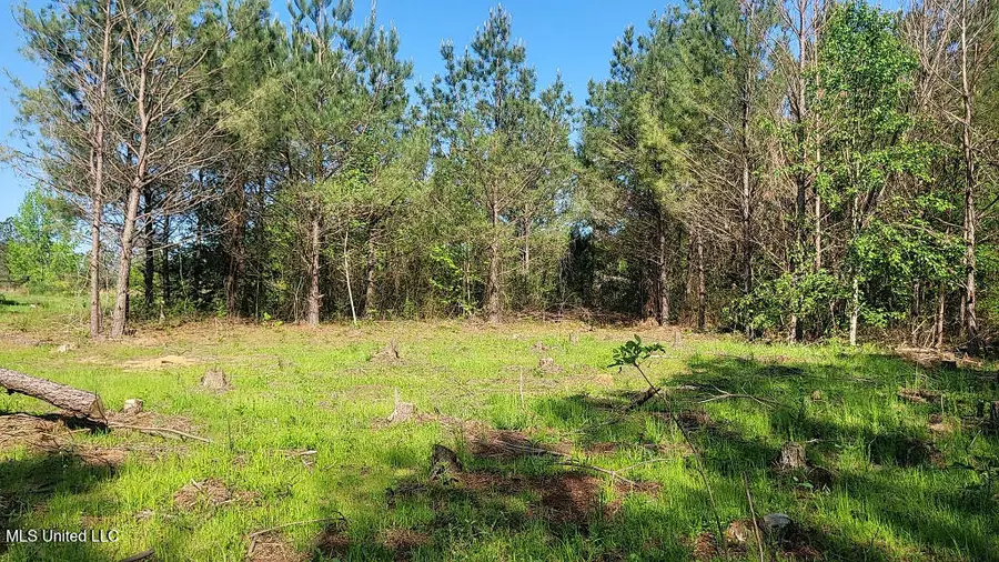 290 Mt. Helm Road, Brandon, MS 39047 - Image #2