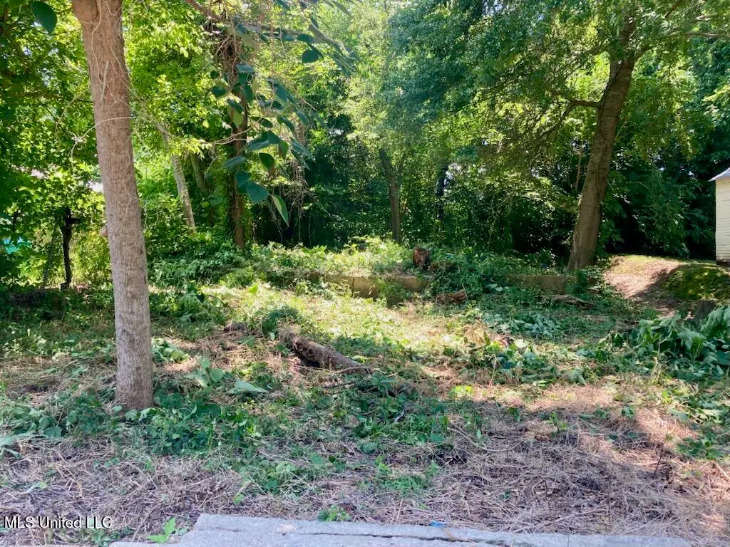 55 E Oak Street, Natchez, MS 39120 - Image #1