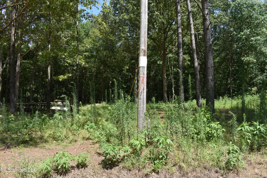 6 Gray Academy Road, Ashland, MS 38603 - Image #2