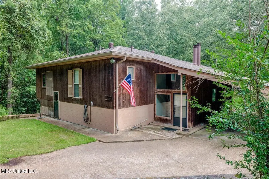 19 Autumn Drive, Coldwater, MS 38618 - Image #3