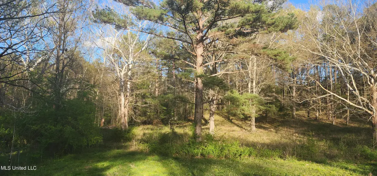 0 Ms-471, Brandon, MS 39047 - Image #1