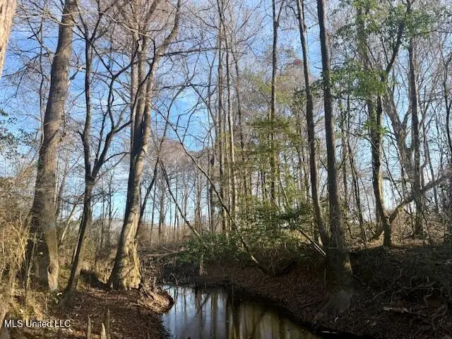 Pecan Orchard Road, Liberty, MS 39645 - #2