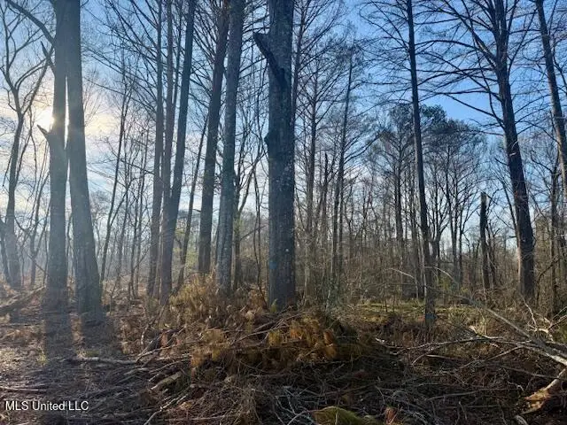 Pecan Orchard Road, Liberty, MS 39645 - #3