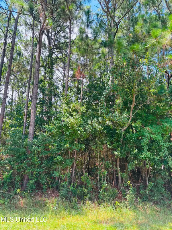 Grouper Road, Gautier, MS 39553