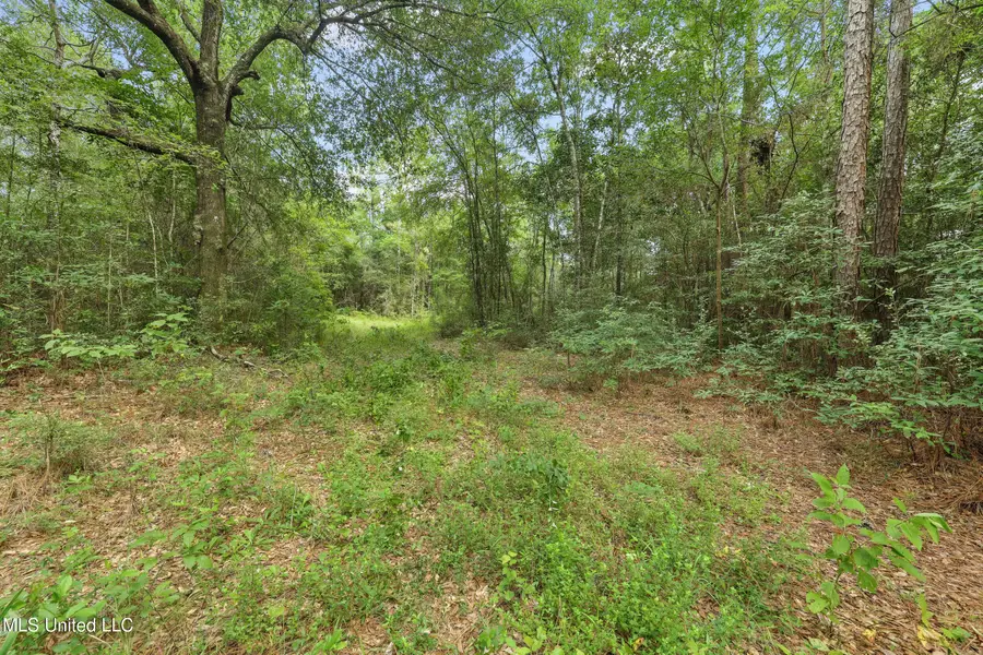 0 Yankee Town Road, Saucier, MS 39574 - Image #2