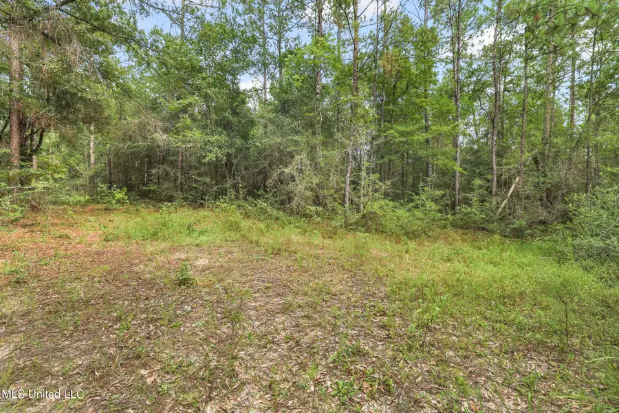 0 Yankee Town Road, Saucier, MS 39574 - Image #3