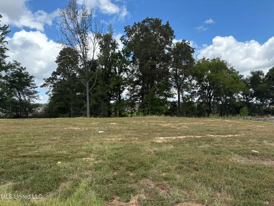 John Thomas Cove, Hernando, MS 38632 - Image #2