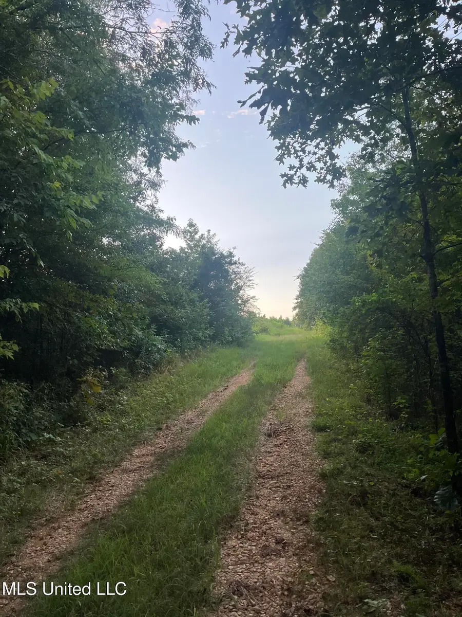 207 Wallace Drive, Coldwater, MS 38618 - Image #3