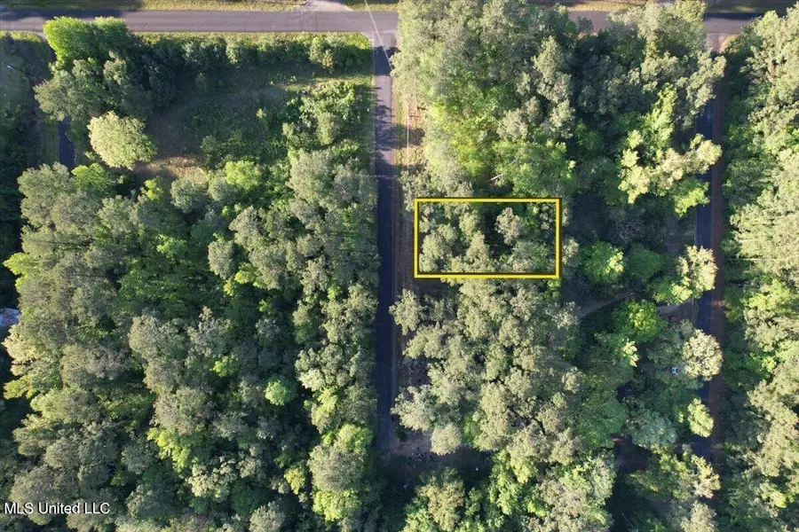 Donna Ashley Street, Brandon, MS 39042 - Image #2