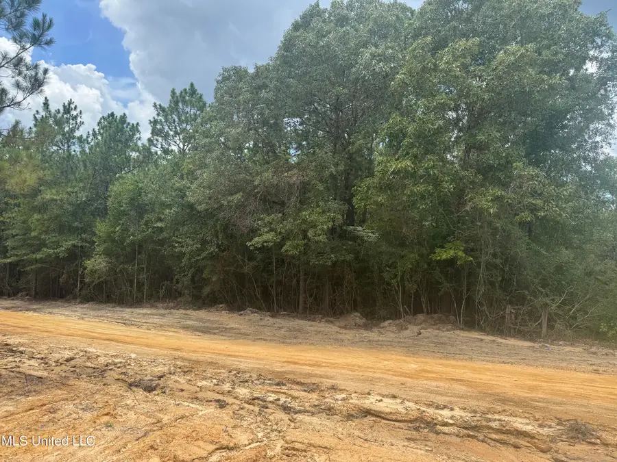 00 Joshua Road, McHenry, MS 39561 - Image #2