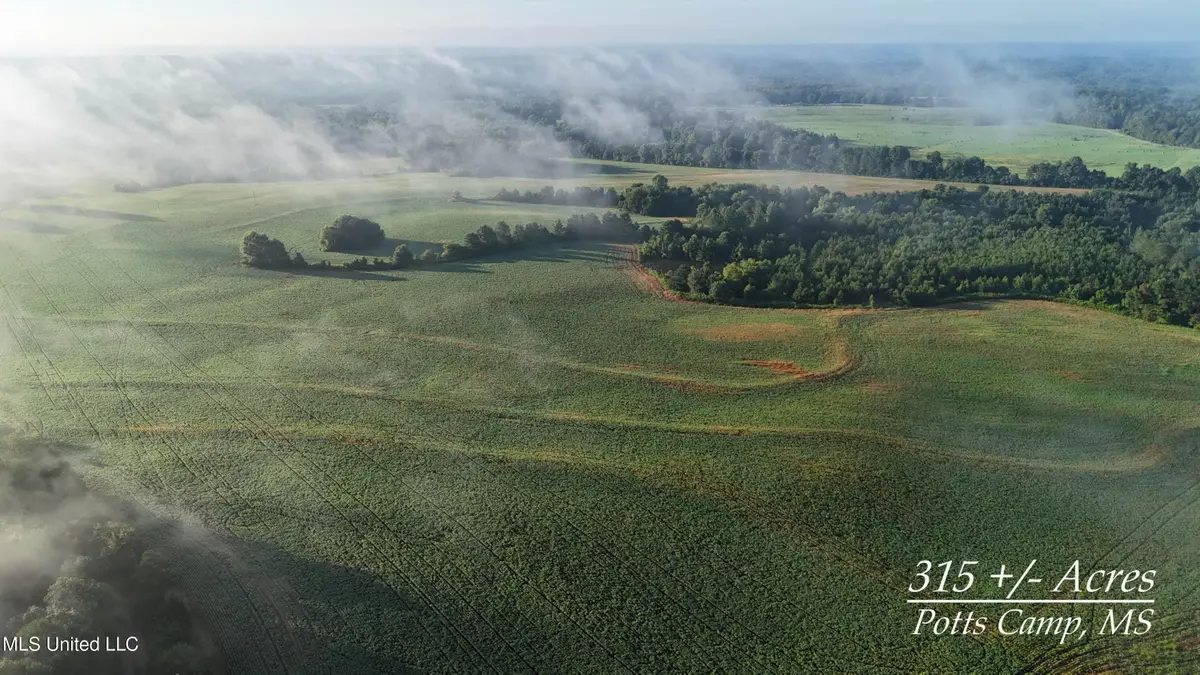 Spillers Road, Potts Camp, MS 38659 - Image #1