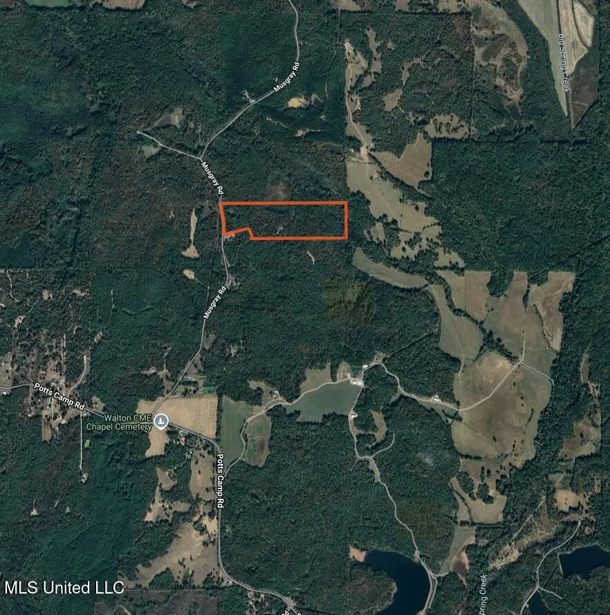 Musgray Road, Waterford, MS 38685 - Image #1