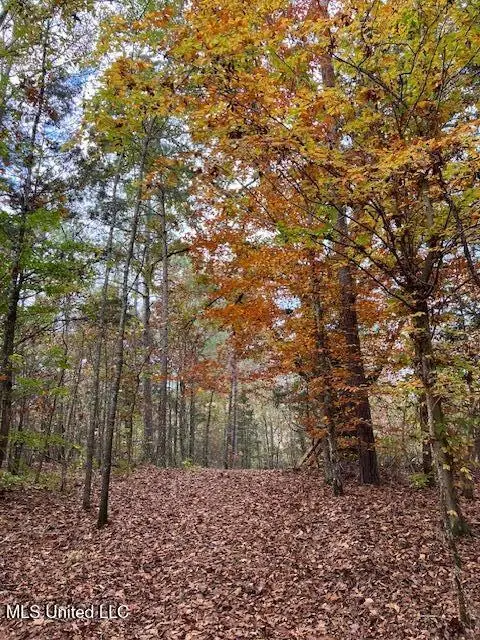 Musgray Road, Waterford, MS 38685 - Image #2