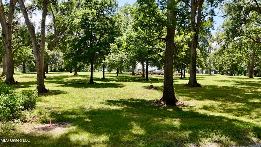 6 Acres Mol Eagle Lake Ms, Vicksburg, MS 39183 - Image #3
