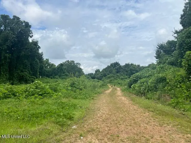 1519 Wilburn Road, Michigan City, MS 38647 - Image #1