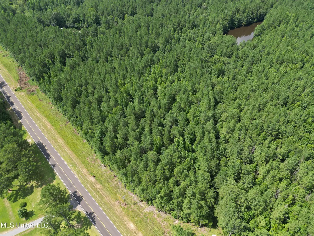 Us 18 Highway, Rose Hill, MS 39356 - Image #1