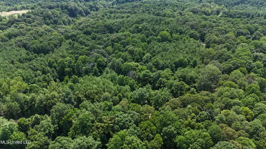 Pine Bluff Road, Cruger, MS 38924 - Image #3