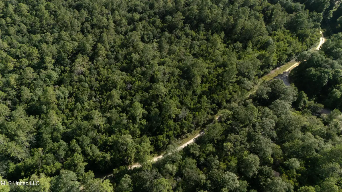 Old Kelly Rd Drive, Vancleave, MS 39565 - #1