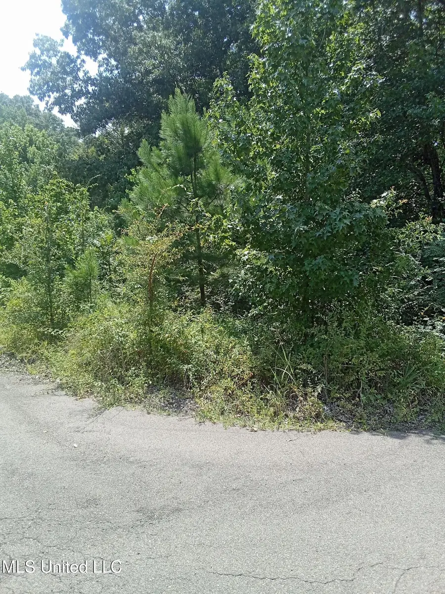 00 Reivers Cove, Terry, MS 39170 - Image #2