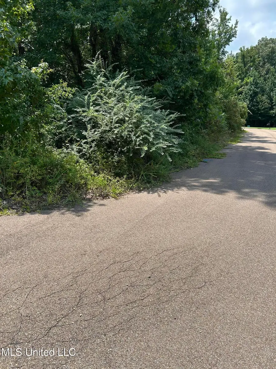 0 Fable Cove, Terry, MS 39170 - Image #2