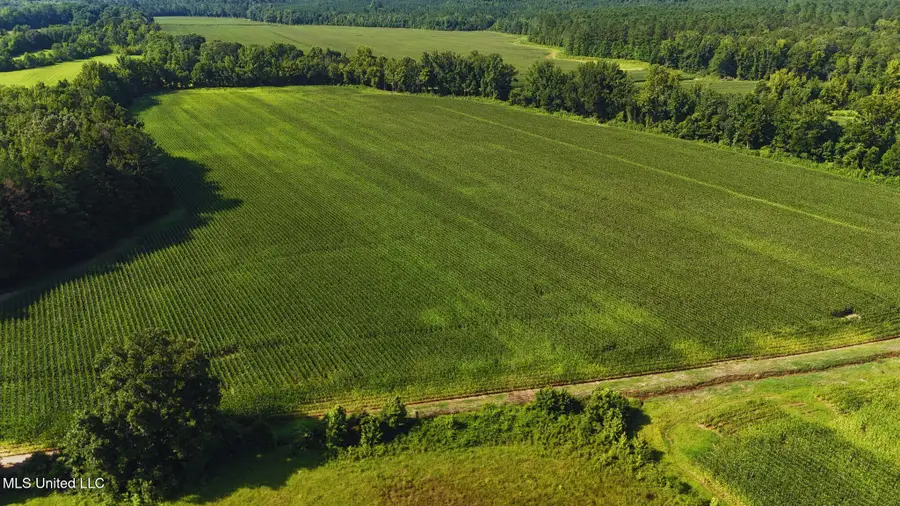 County Road 51, Eupora, MS 39744 - Image #3