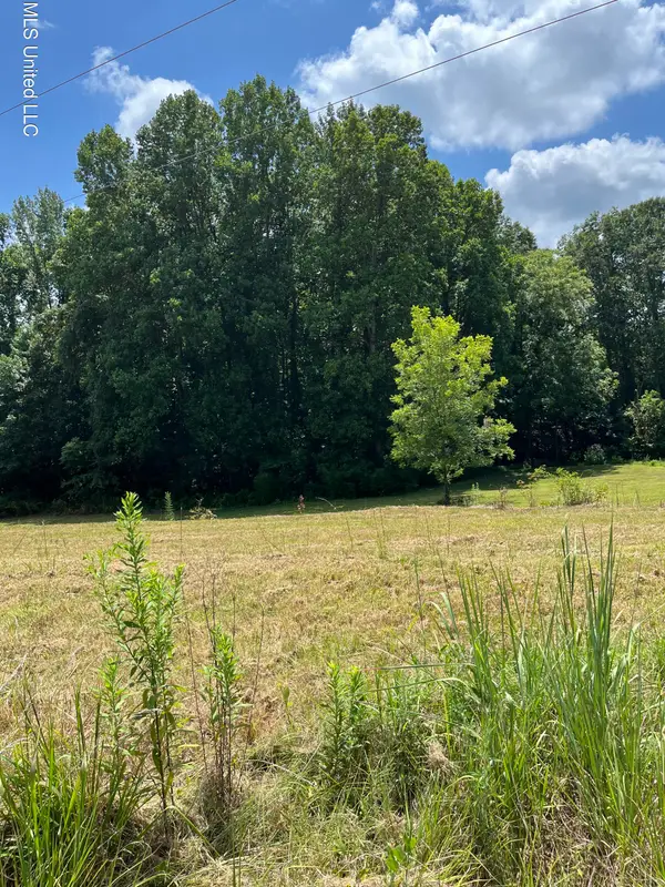 127 Parker Cv Cove, Byhalia, MS 38611