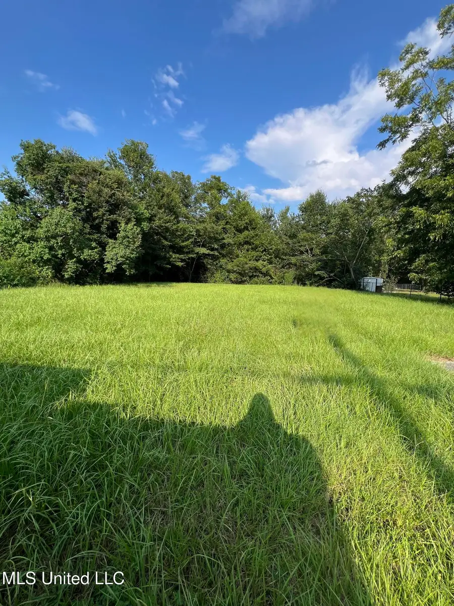 441 Park Street, Wiggins, MS 39577 - Image #2