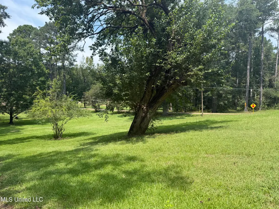 01 35 Highway, Carthage, MS 39051 - Image #3