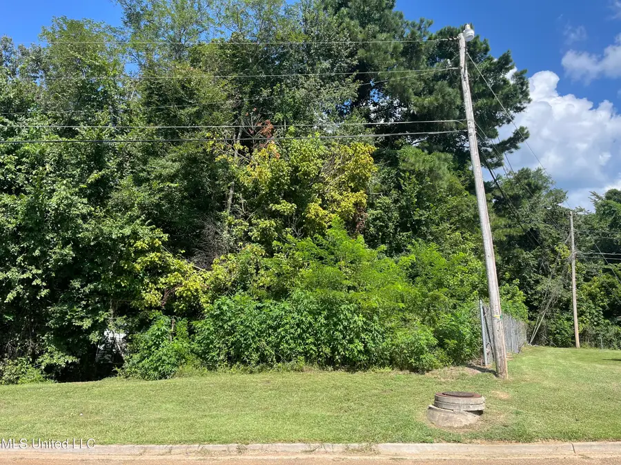 0 Triplett Drive, Natchez, MS 39120 - Image #3