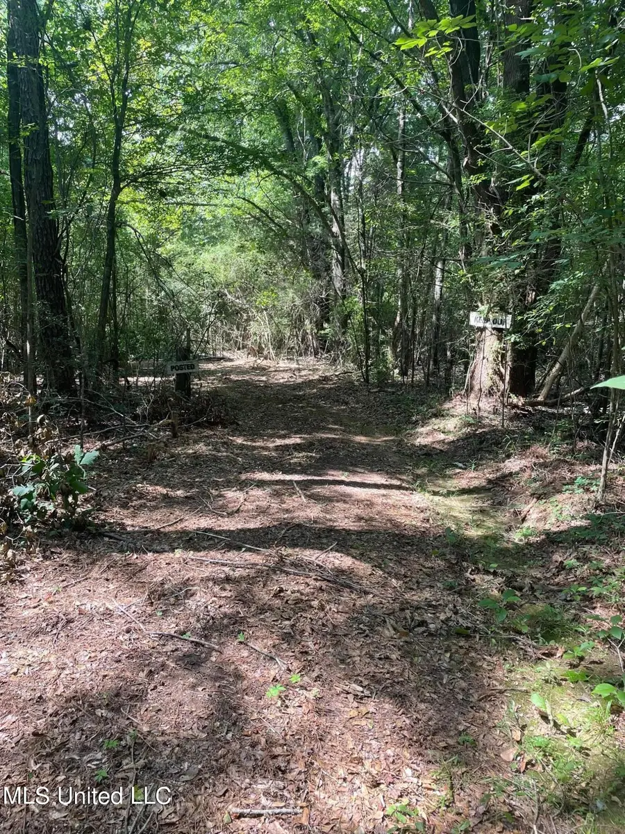 Cleo-clark Road, Canton, MS 39046 - Image #2