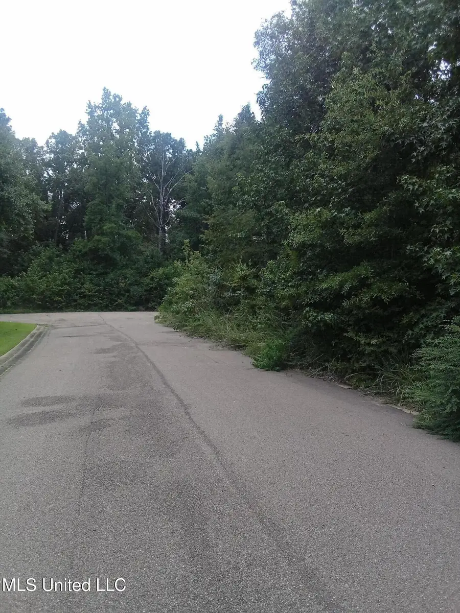 0 Absalom Cove, Terry, MS 39170 - Image #2