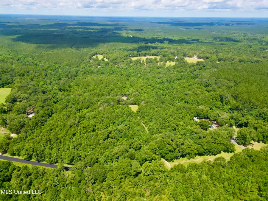 190 Gumpond Beall Road, Lumberton, MS 39455 - Image #3