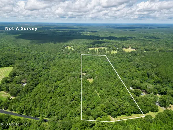 Tract 1 Gumpond Beall Road, Lumberton, MS 39455