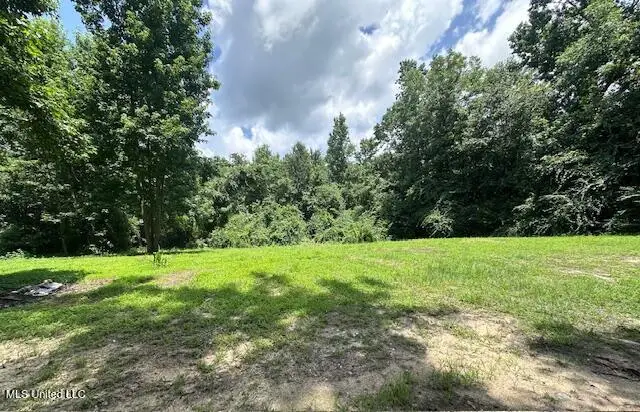 Old Hwy 49, Saucier, MS 39574 - Image #1