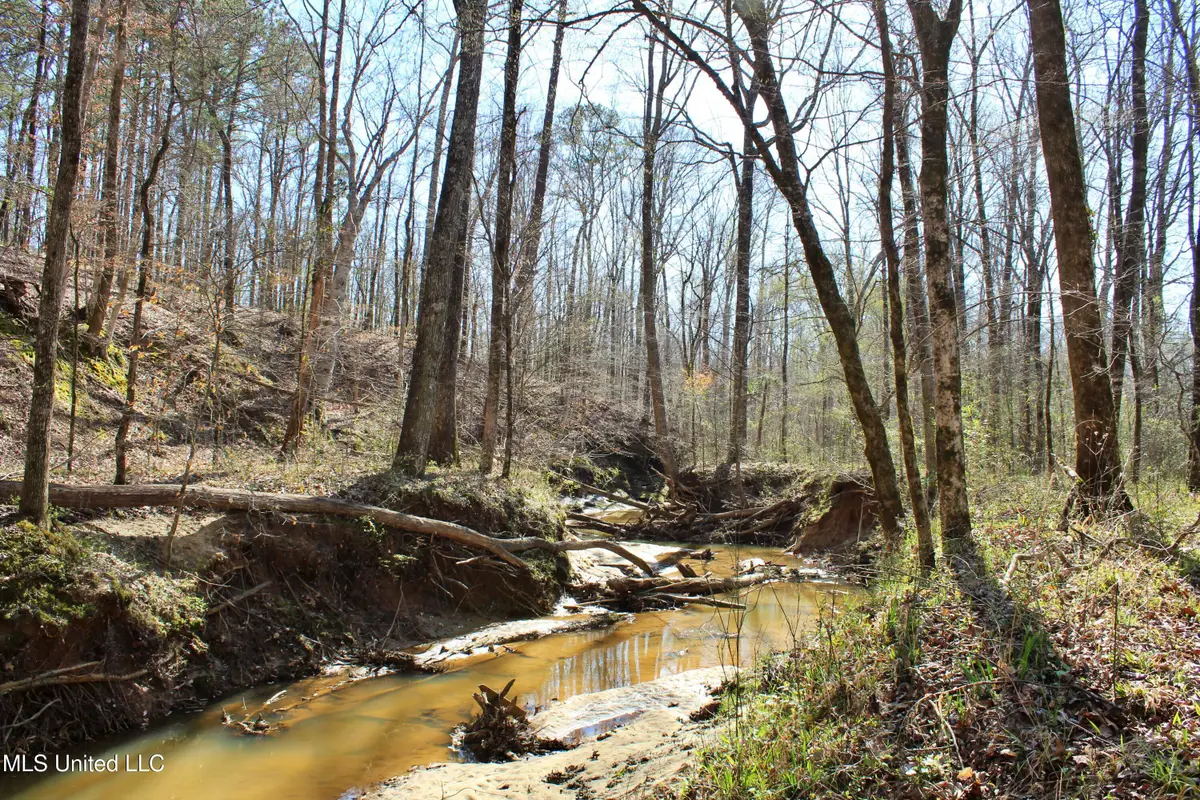 Cr 3225, Kosciusko, MS 39090 - Image #1