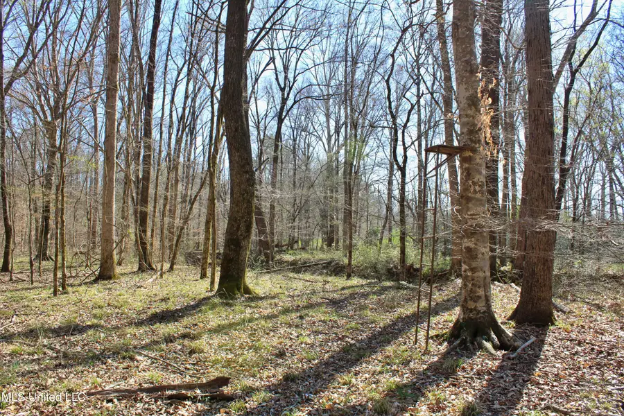 Cr 3225, Kosciusko, MS 39090 - Image #2