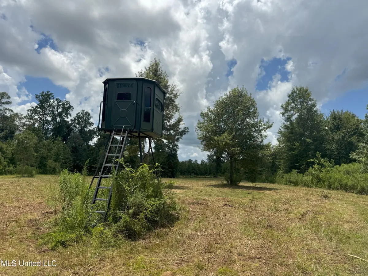 Beltline Drive, Brookhaven, MS 39601 - Image #1