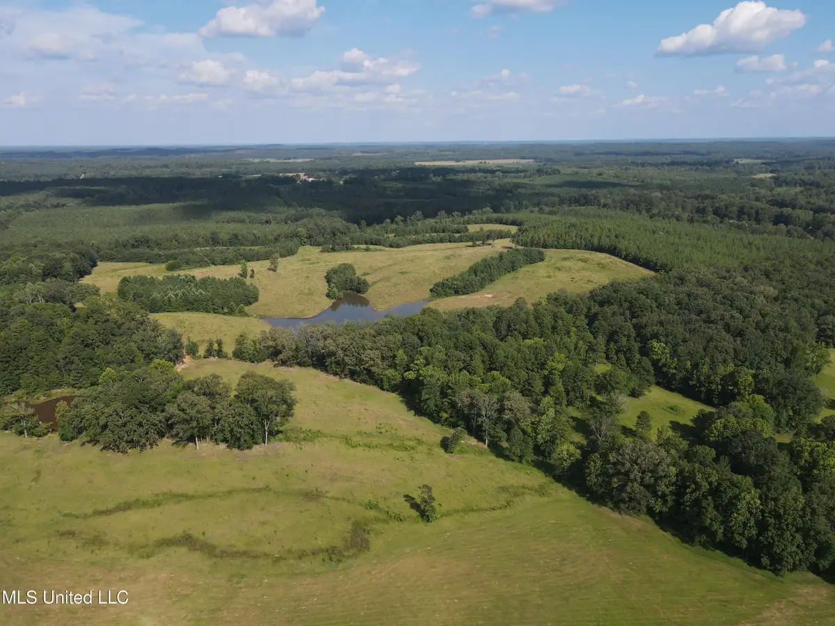 County Road 233, Water Valley, MS 38965 - Image #1